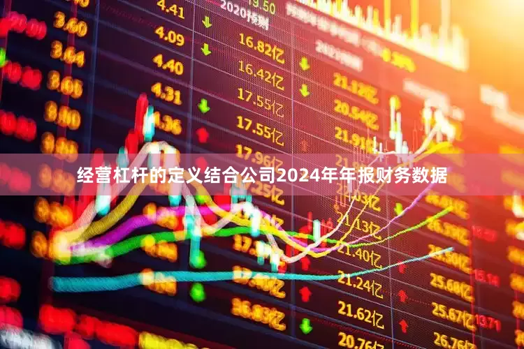 经营杠杆的定义结合公司2024年年报财务数据
